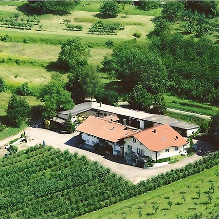 Weingut Ringwald Apartment Herbolzheim Exterior photo