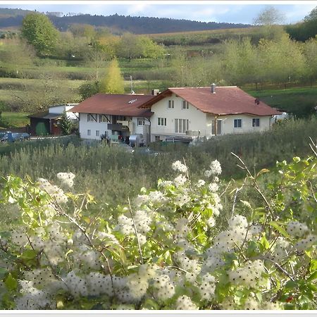 Weingut Ringwald Apartment Herbolzheim Exterior photo