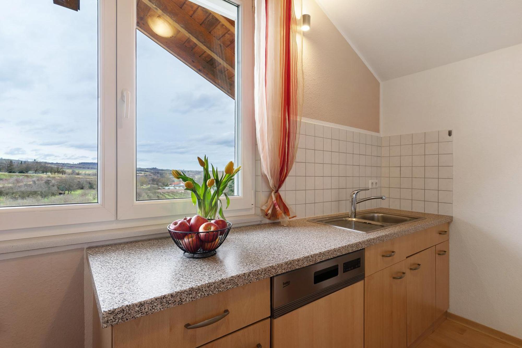 Weingut Ringwald Apartment Herbolzheim Exterior photo